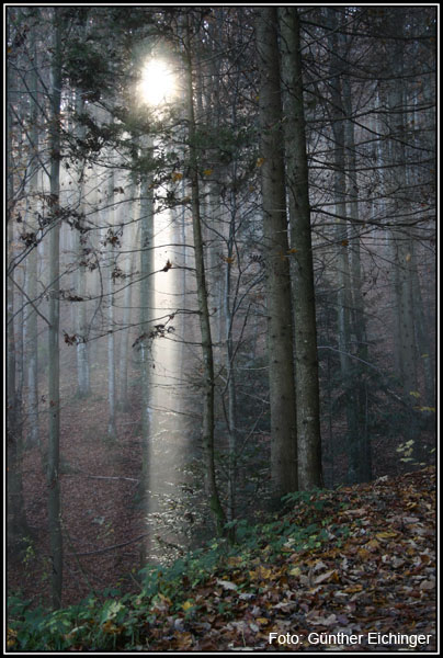 Sonnenstrahl