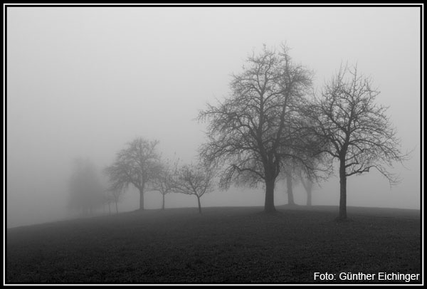 Nebel4