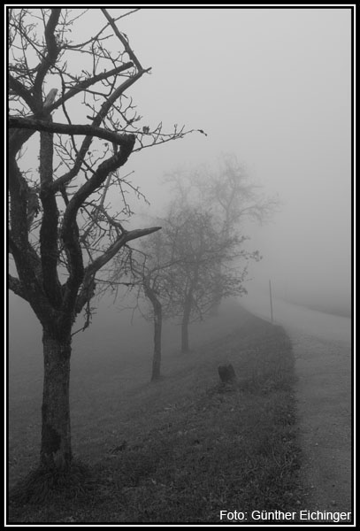 Nebel5