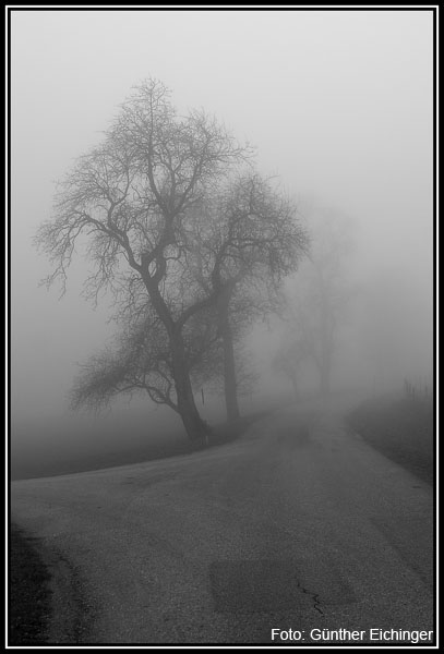 Nebel6