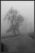 Nebel6