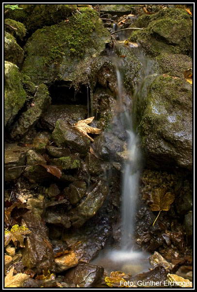 Wasser8